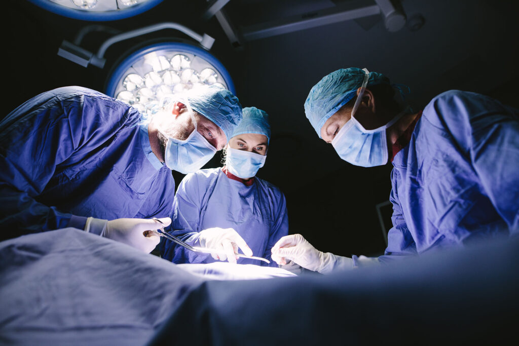 Group of pet surgeons doing surgery.