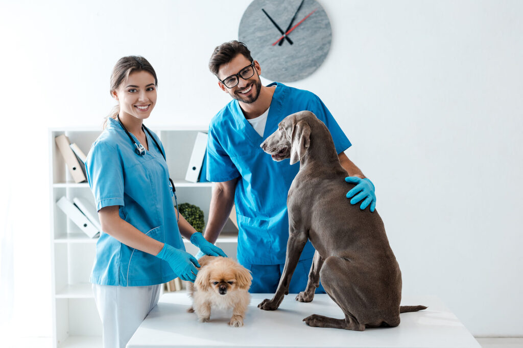 Two young, cheerful veterinarians are smiling while playing with dogs.