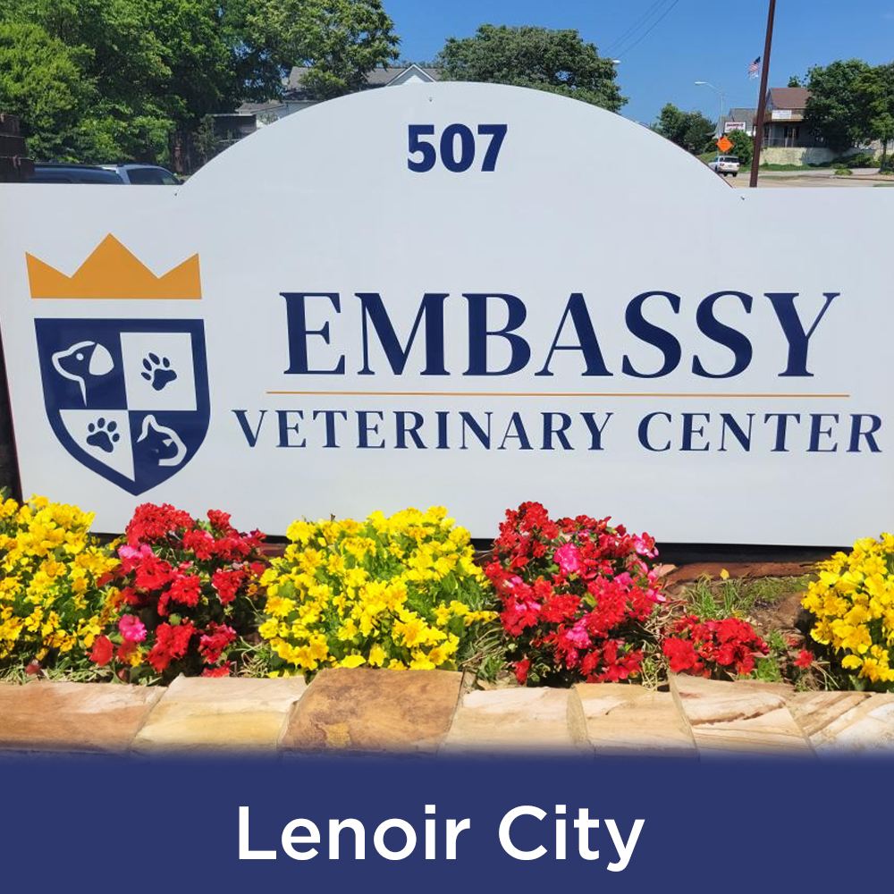 Embassy Veterinary center Lenoir City location
