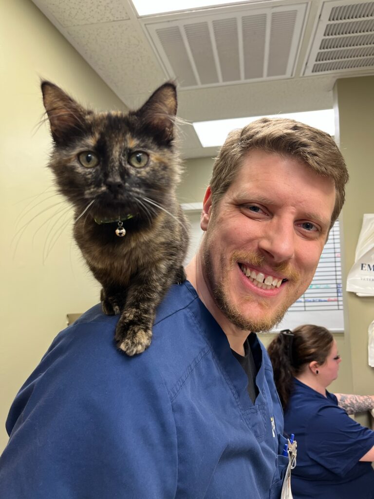 A veterinarian with a cat on his shoulder.
