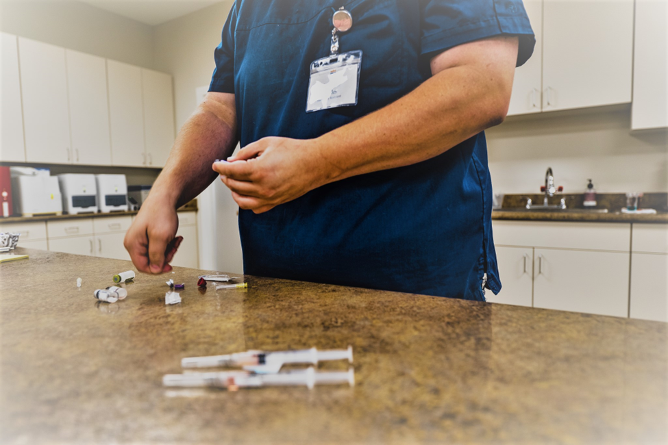 Veterinarian preparing pet vaccines