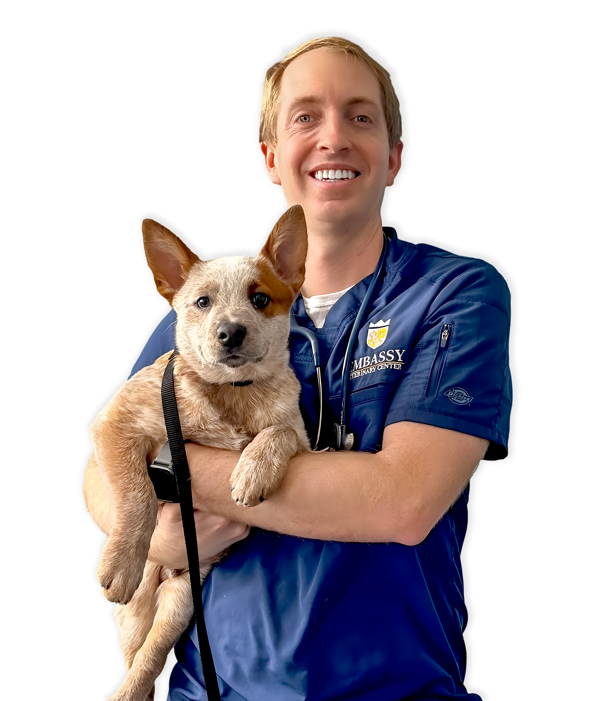 Veterinarian holding a dog.