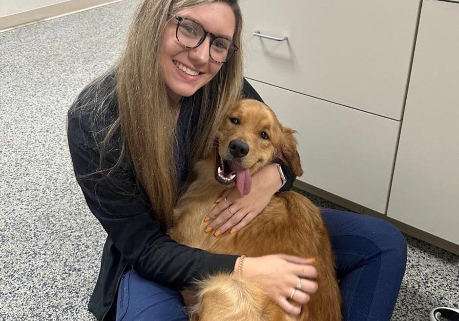 Close Up Of Staff Member Holding Goofy Golden Retriever