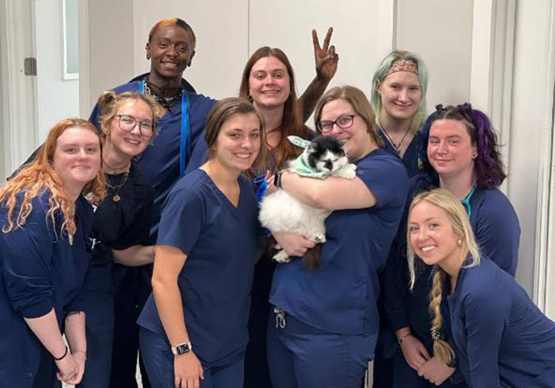 Our Veterinarians In Knoxville Tn And Tampa Fl