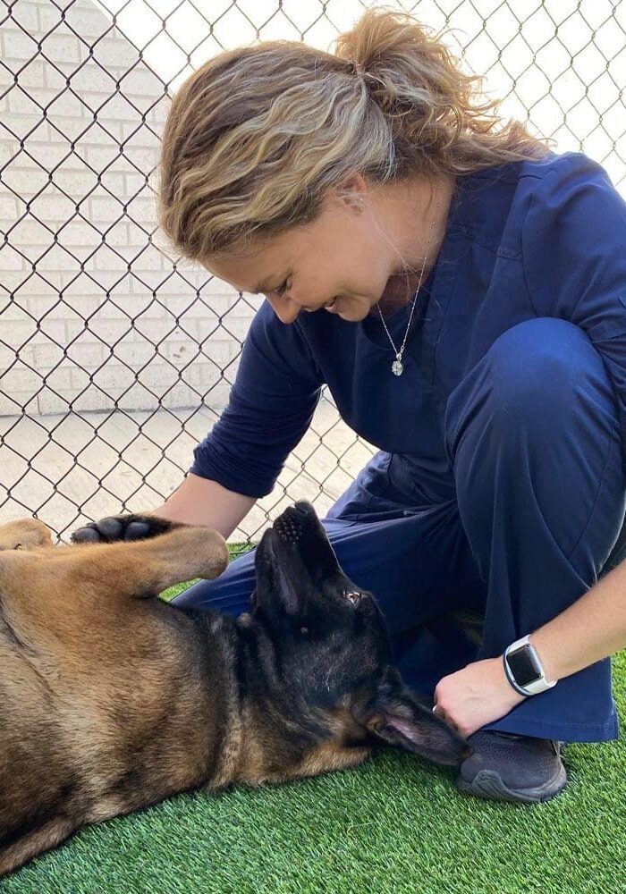 Staff Member Smiling And Kneeling Down To Pet German Shepherd