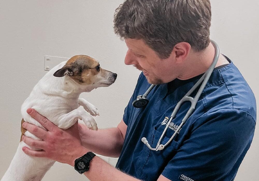 Who We Are At Embassy Veterinary Center